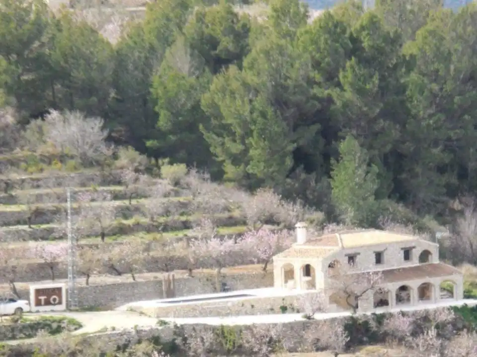 Garden of Country homes for sale in Tàrbena