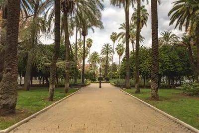 Pis en venda a Zona Centro