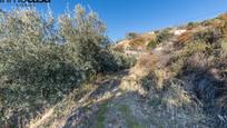 Finca rústica en venda en Güejar Sierra