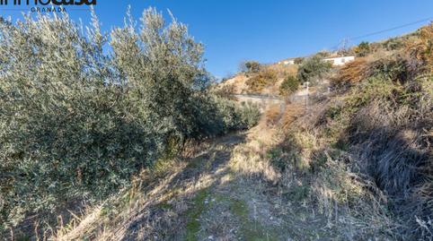 Foto 4 de Finca rústica en venta en Polígono Paraje de la Hoya, Güéjar Sierra, Granada