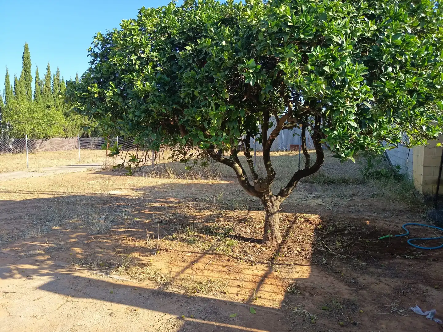 Casa o chalet en venta en Palomares del Río