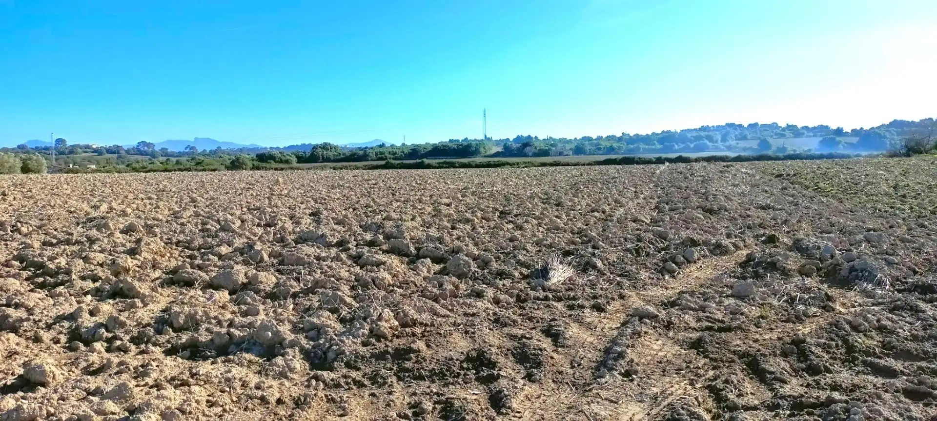 Wohnbaugrundstück zum Verkauf in Muro, imagen 18