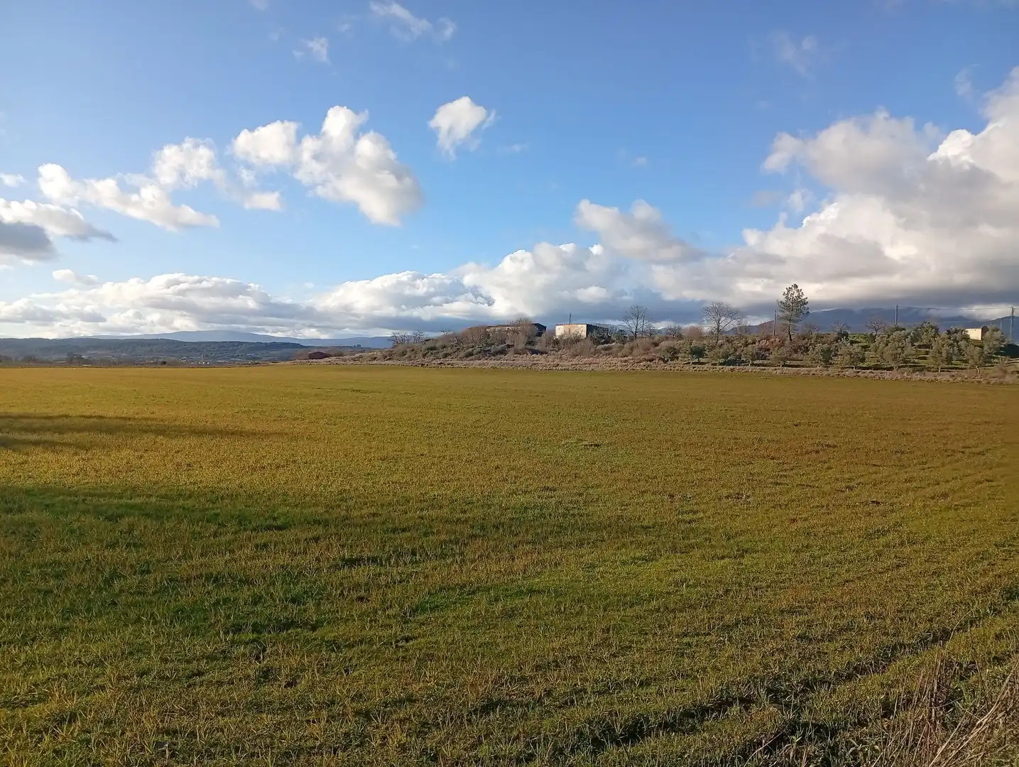 Land for sale in Losar de la Vera