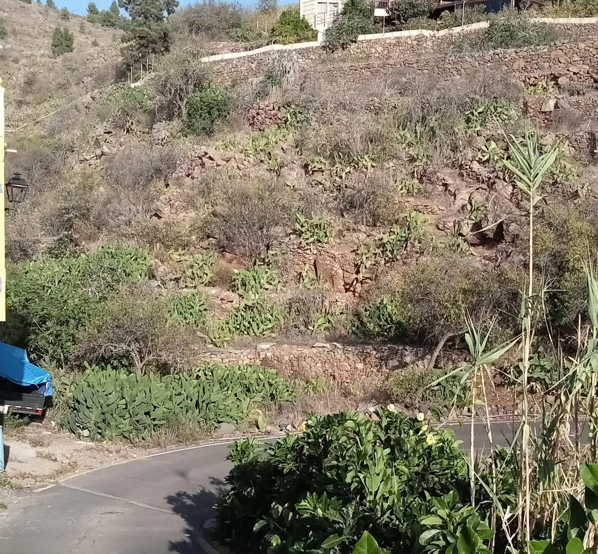 Rural land for sale in Calle la Parranda, imagen 6