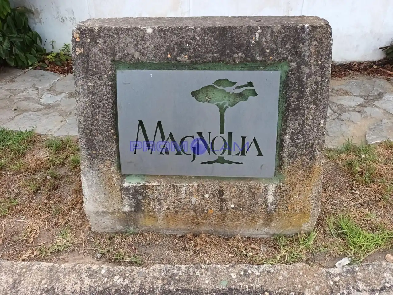 Terrenos y solares en venta en Calle Magnolia, imagen 2