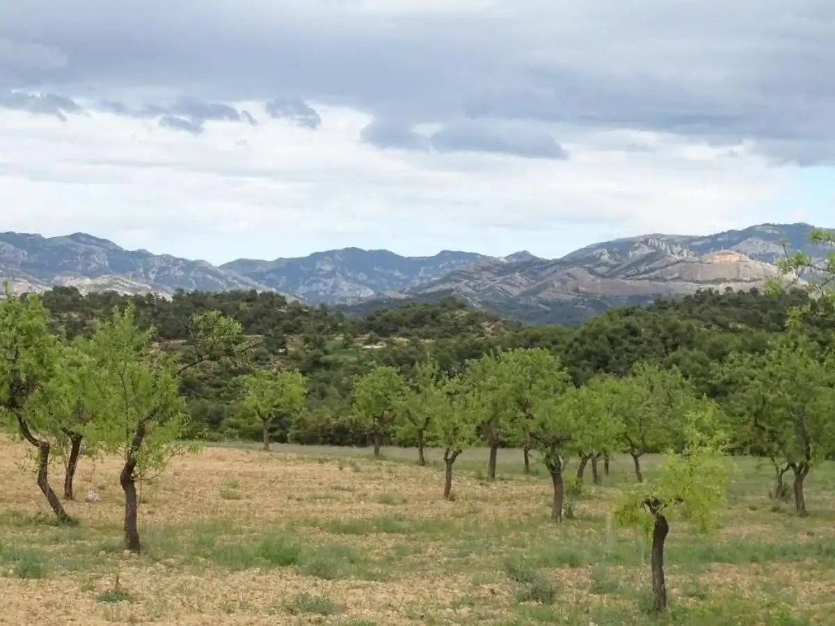 Finca rústica en venta en Cretas