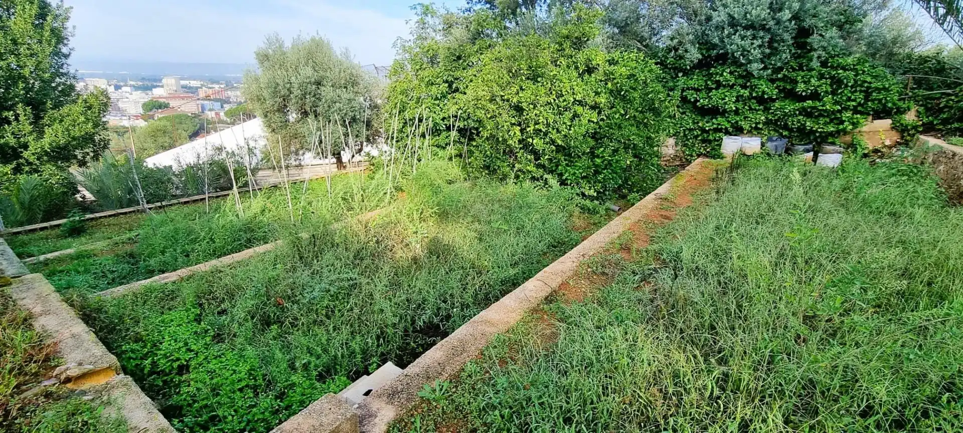 Houses for sale in Alzira  with Air Conditioner, Private garden and Terrace