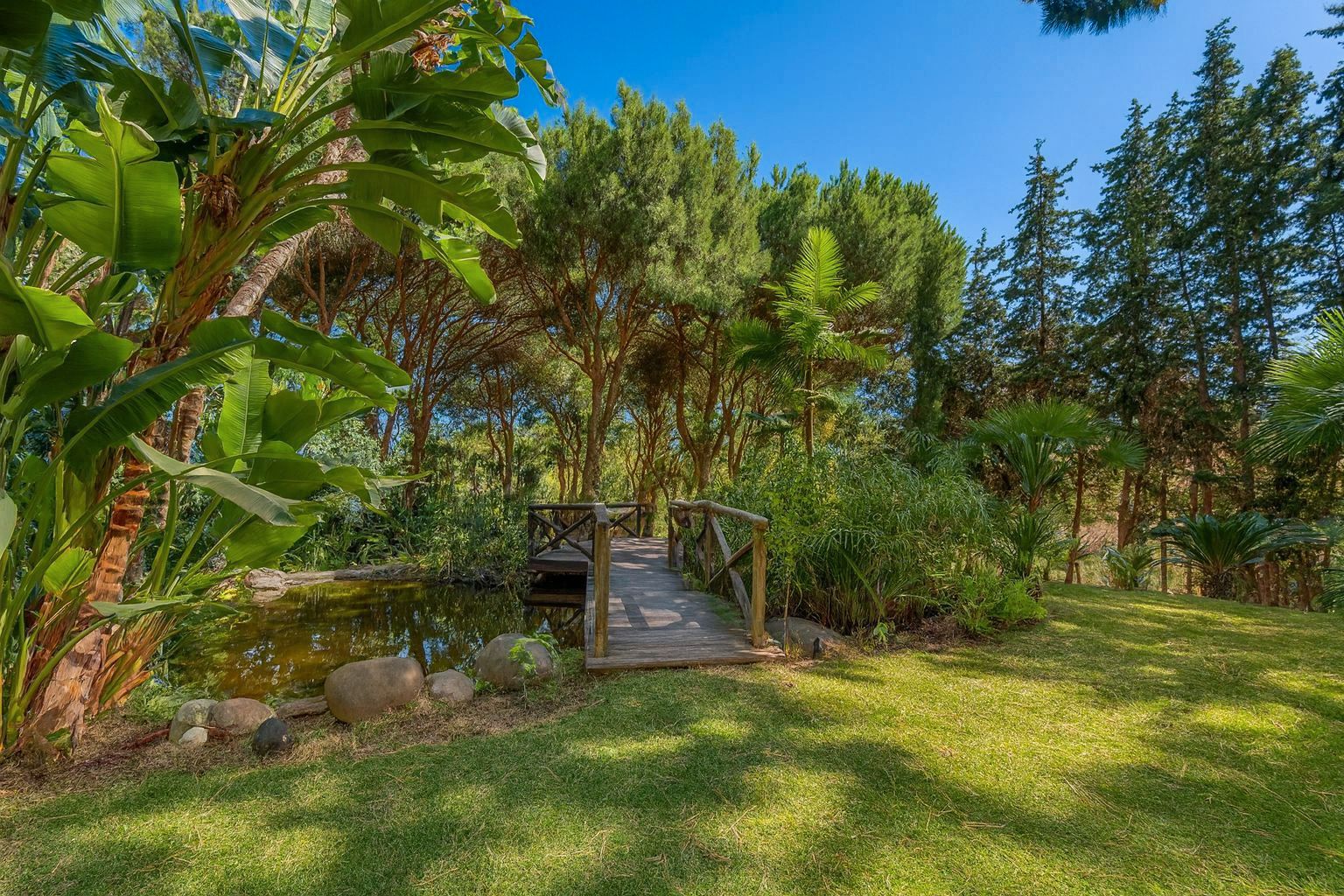 Jardín de Casa o chalet en venta en Mijas con Jardín privado, Terraza y Piscina