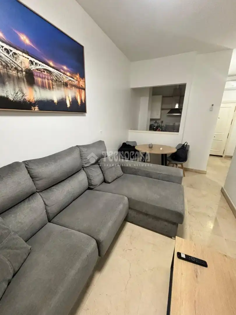 Sala d'estar de Pis de lloguer en Sevilla amb Aire condicionat