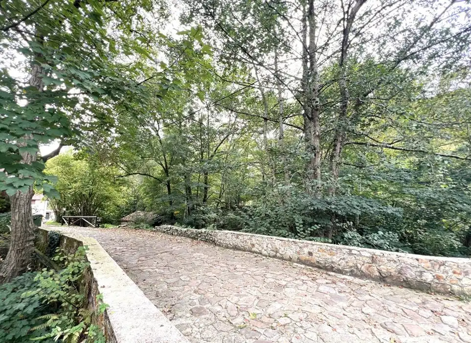 Casa in vendita a Peñamellera Alta, imagen 5