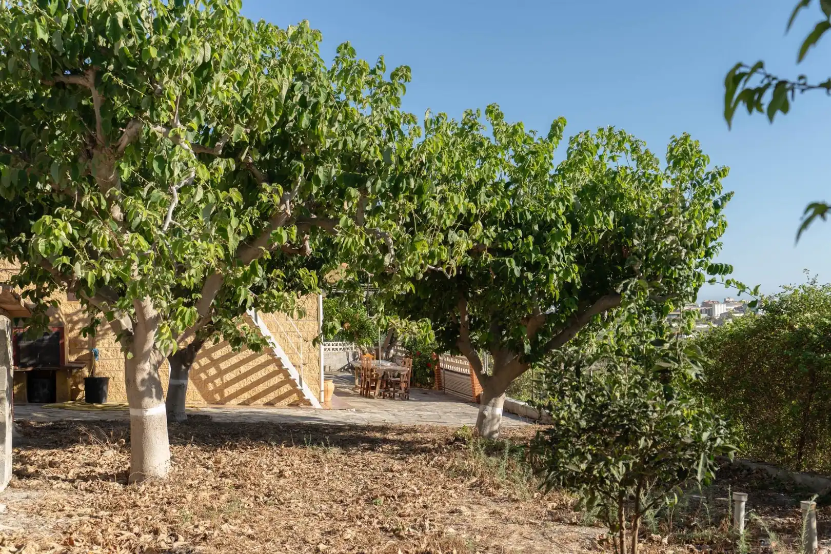 Casa amb jardí en venda a Polígono  Cañada minasierra. poligono 19-parcela 194 y 58, imagen 21