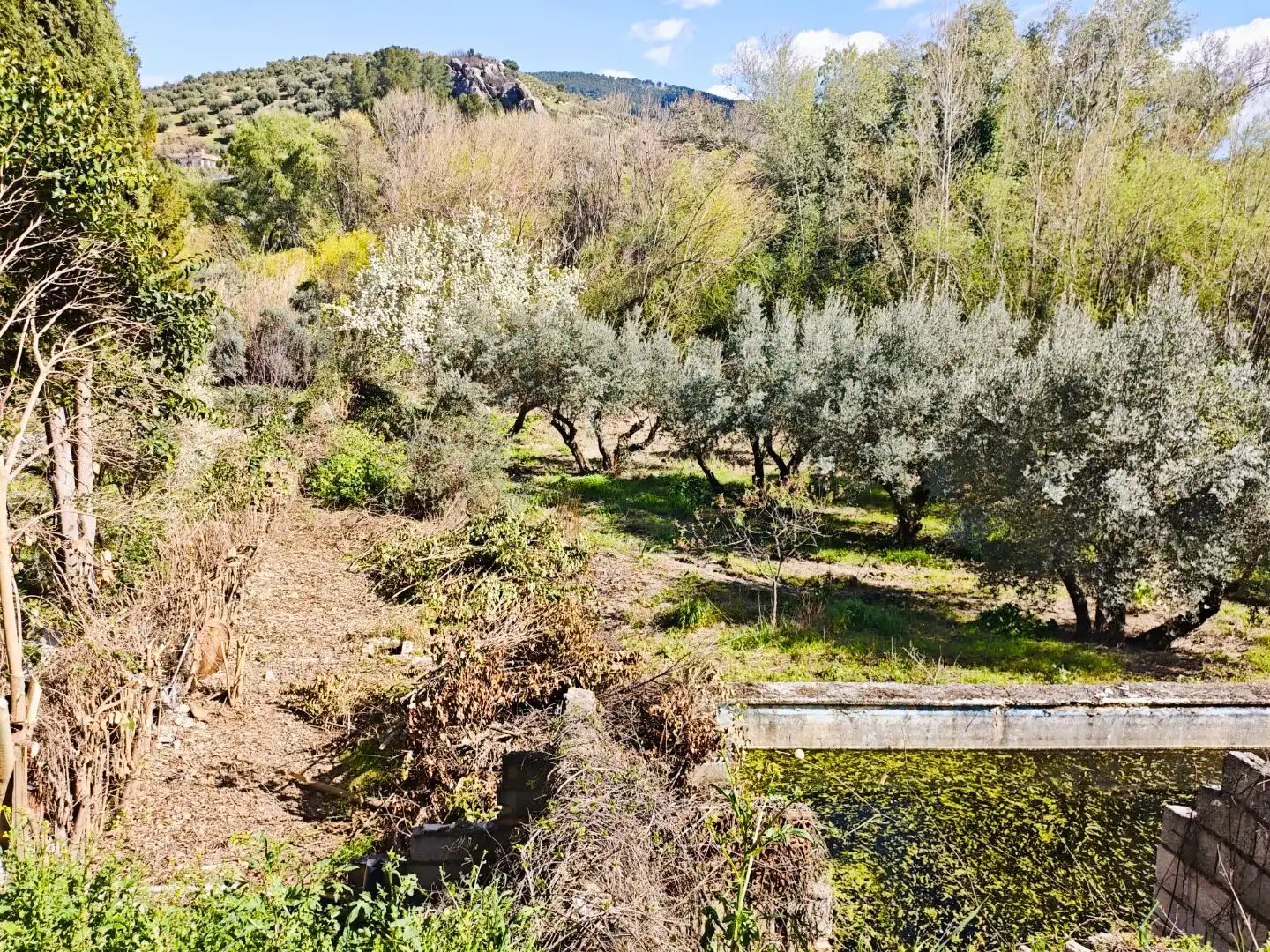 Grundstücke zum Verkauf in Jaén