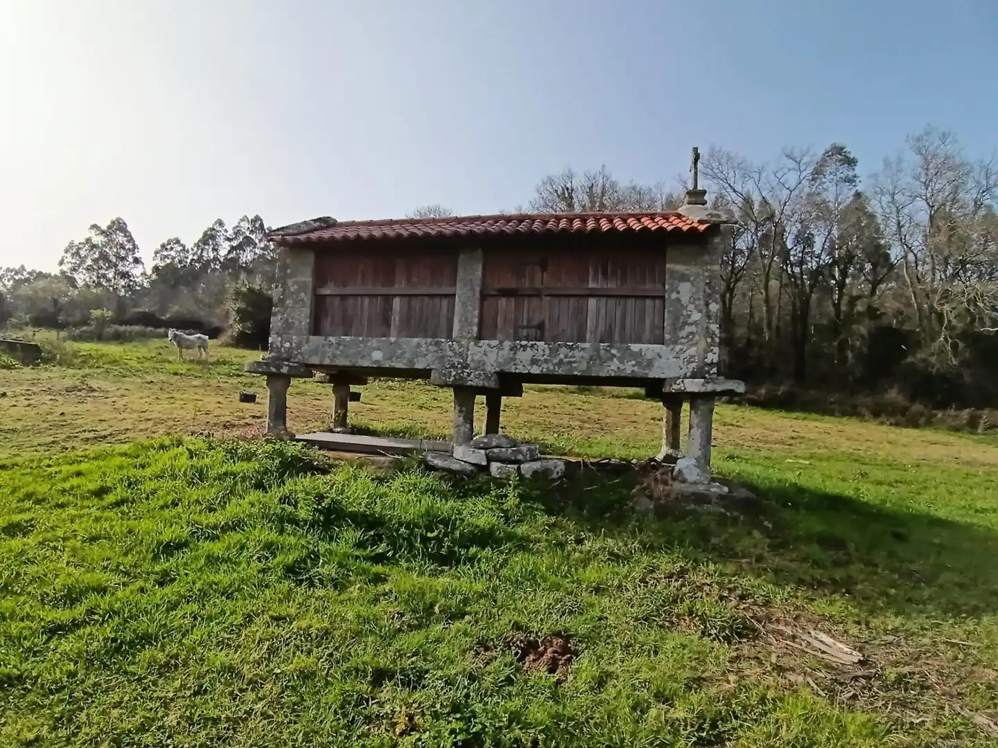 Country homes for sale in Meis