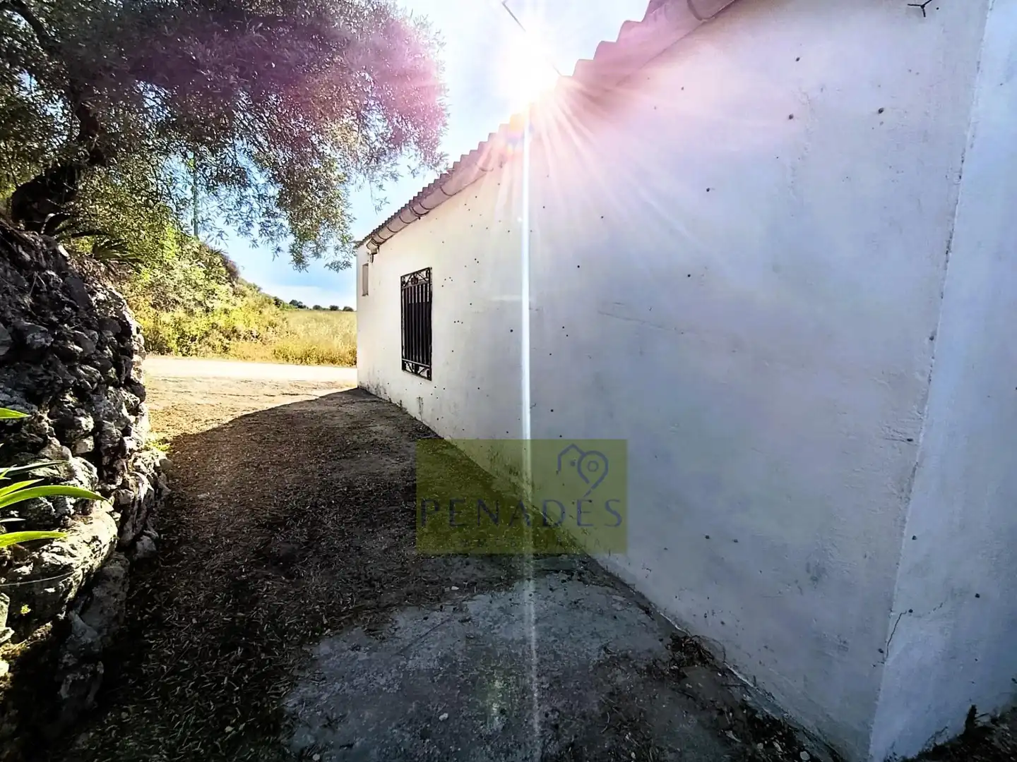Vista exterior de Casa o chalet en venta en Ontinyent con Jardín privado