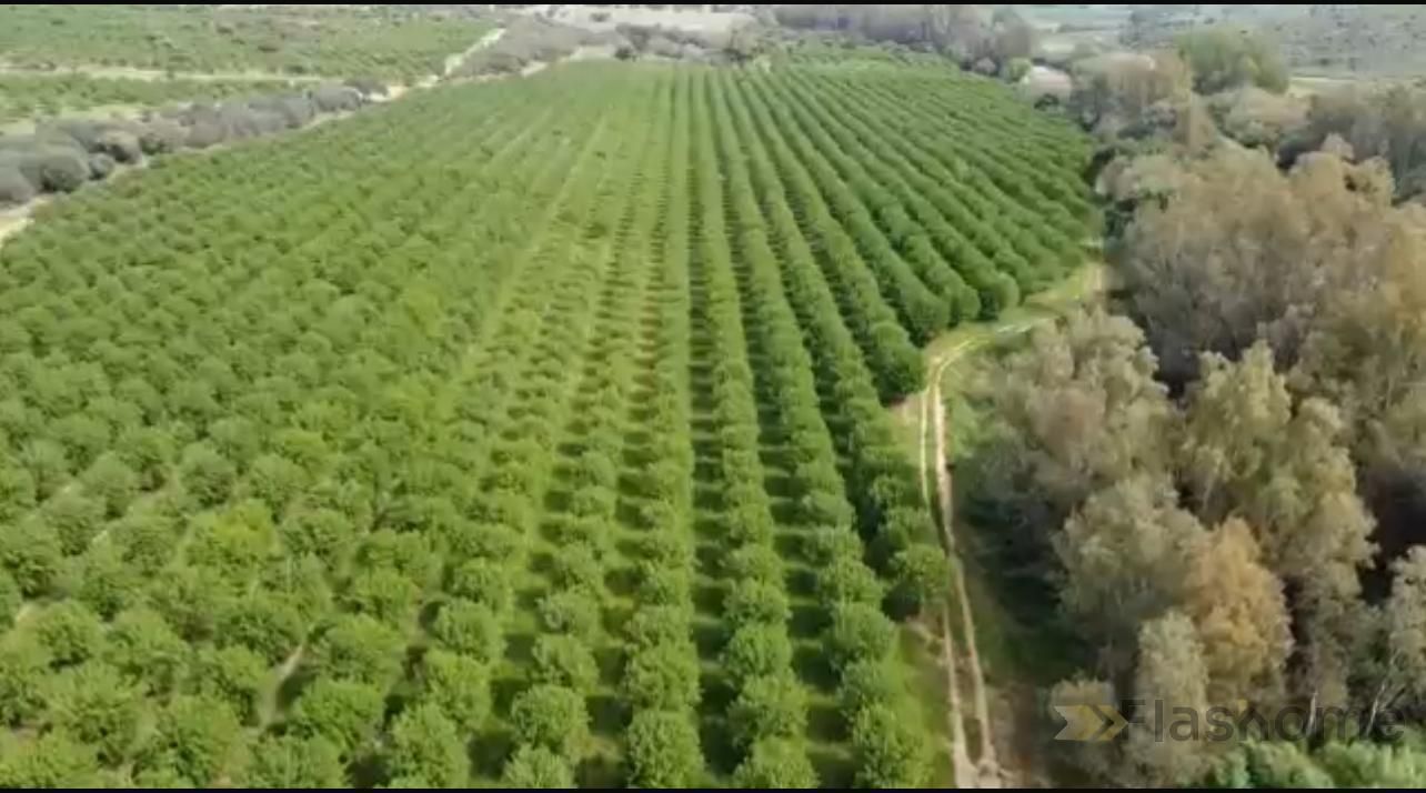 Country house for sale in Navalvillar de Pela