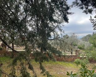 House or chalet for sale in Ciudad Real Capital  with Air Conditioner, Heating and Private garden