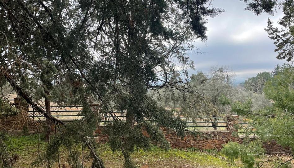 Photo 1 of House or chalet for sale in Carretera Carretera 721, La Poblechuela, Ciudad Real