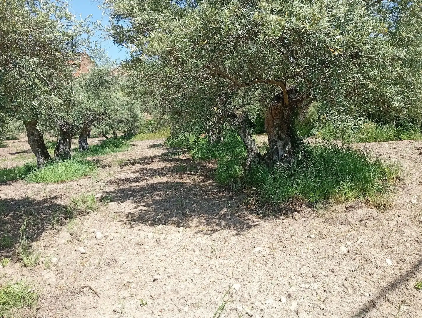 Terreni e lotti in vendita a Villanueva de la Vera, imagen 60