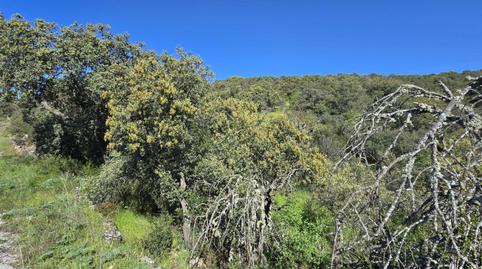 Foto 4 de Residencial en venda a San Agustín del Guadalix pueblo, San Agustín del Guadalix