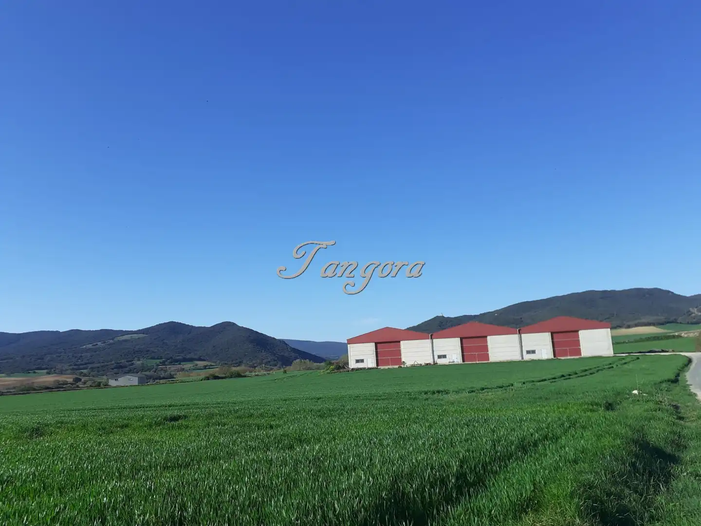 Industrial land for sale in La Puebla de Arganzón 