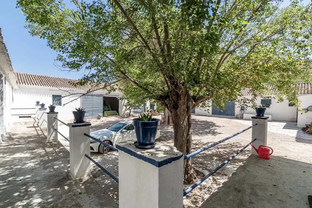 Vista exterior de Finca rústica en venta en Moclín con Piscina