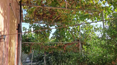 Foto 4 de Finca rústica en venta en Berja, Almería
