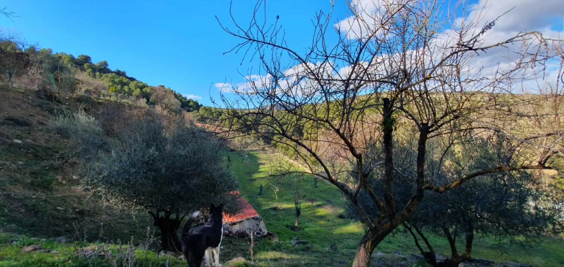 Vista exterior de Finca rústica en venda en El Burgo amb Calefacció, Jardí privat i Traster