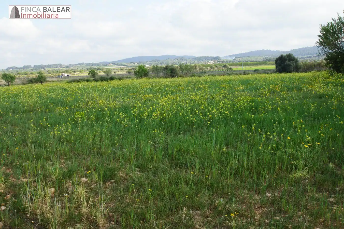 Terreno rustico in vendita a Algaida, imagen 3