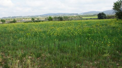 FINCA RUSTICA UBICADA EN ALGAIDA CON PROYECTO Y LICENCIA CADUCADA PARA EDIFICAR UNA VIVIENDA EN PL, immagine 3