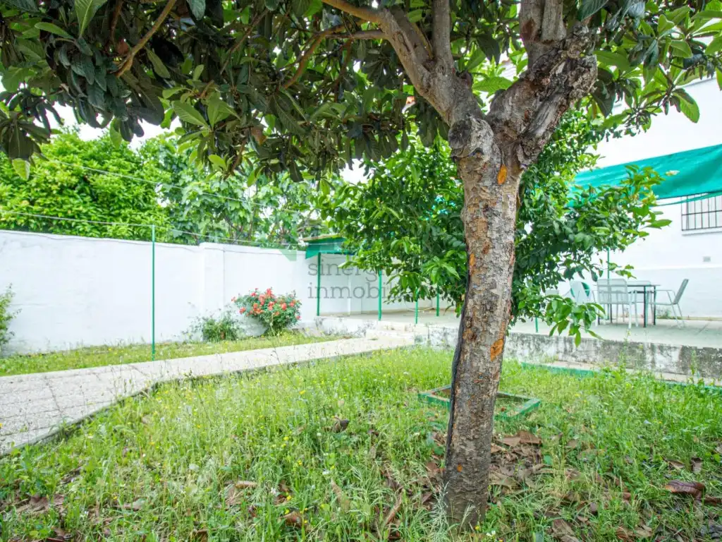 Xalet amb jardí en venda a Ciudad Jardín, imagen 31