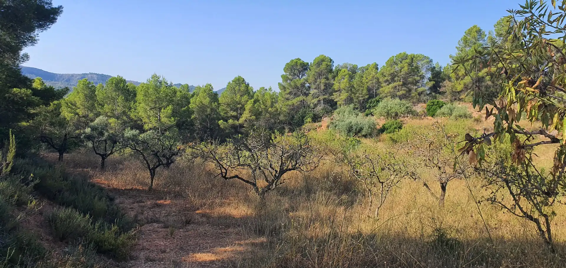 Casa o chalet en venta en Benifallet