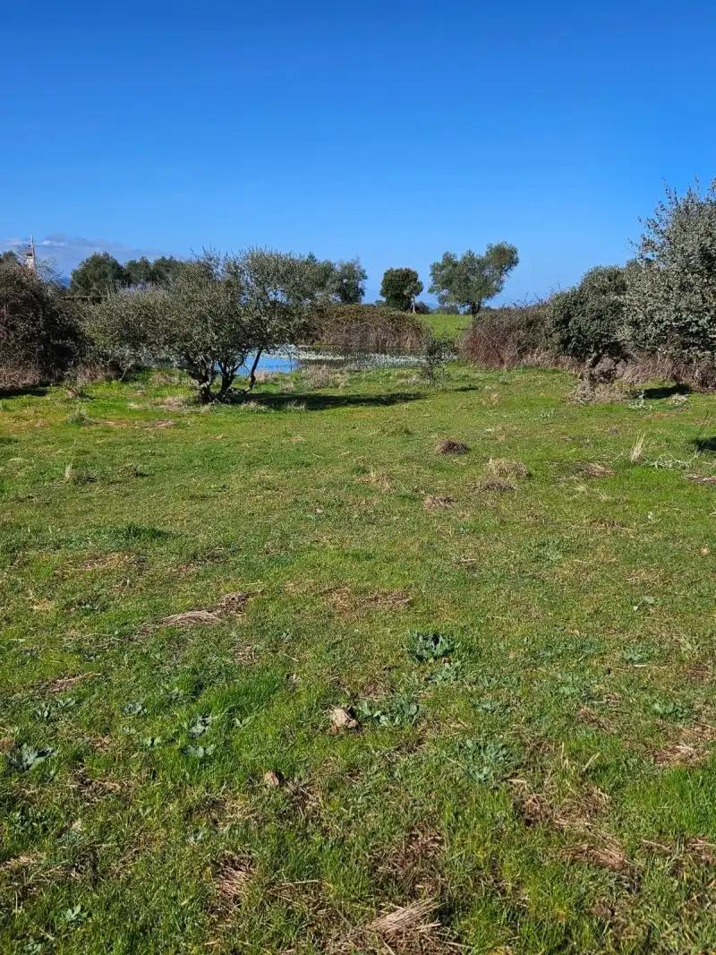 Terreni e lotti in vendita a Aldea del Cano, imagen 9