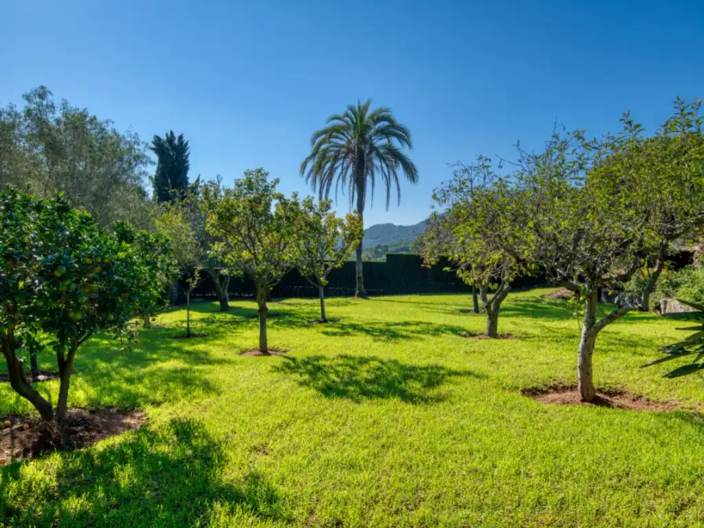 Casa con piscina en venta en Mas Trempat - Sant Amanç - Casa Nova, imagen 32