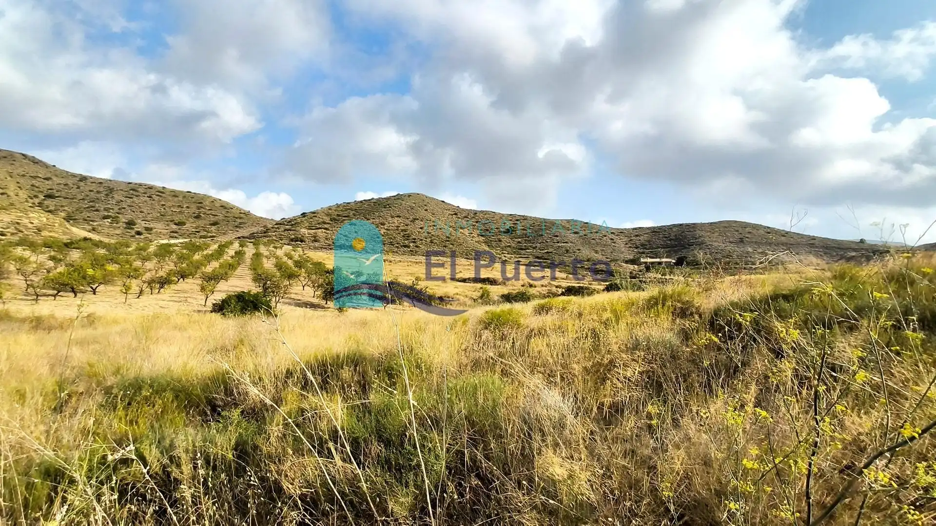 Terreny rústic en venda a Pedanías Sur, imagen 19