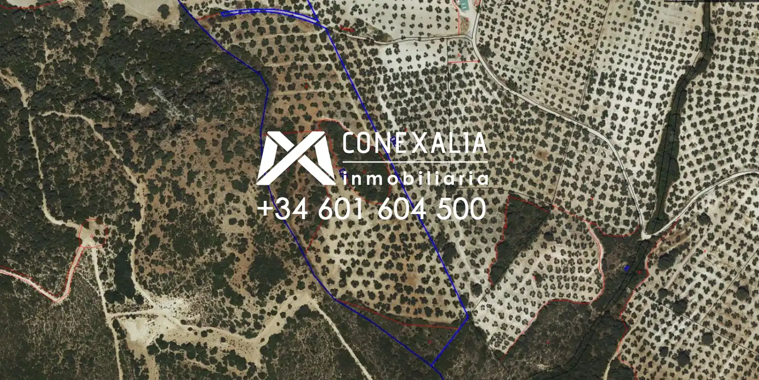 Finca rústica en venta en Pruna