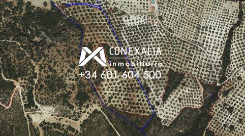 Finca en venta en Pruna., imagen 2