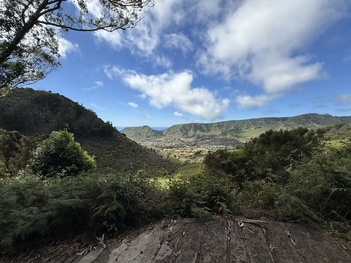 Rural land for sale in Tegueste, imagen 44