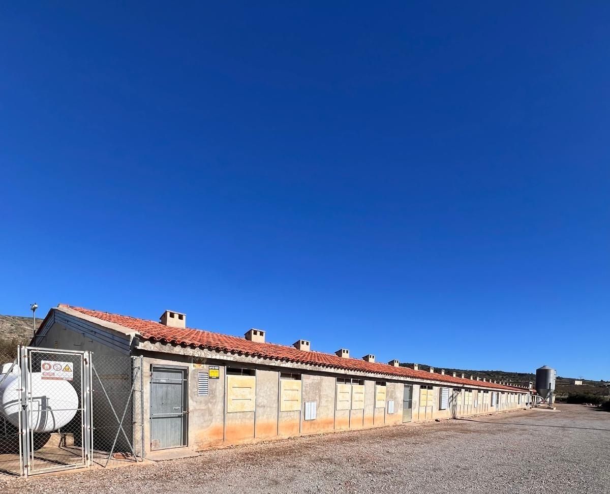 Exterior view of Industrial buildings for sale in Andilla