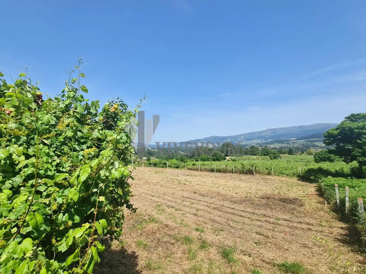 Rural land for sale in Arbo, imagen 2