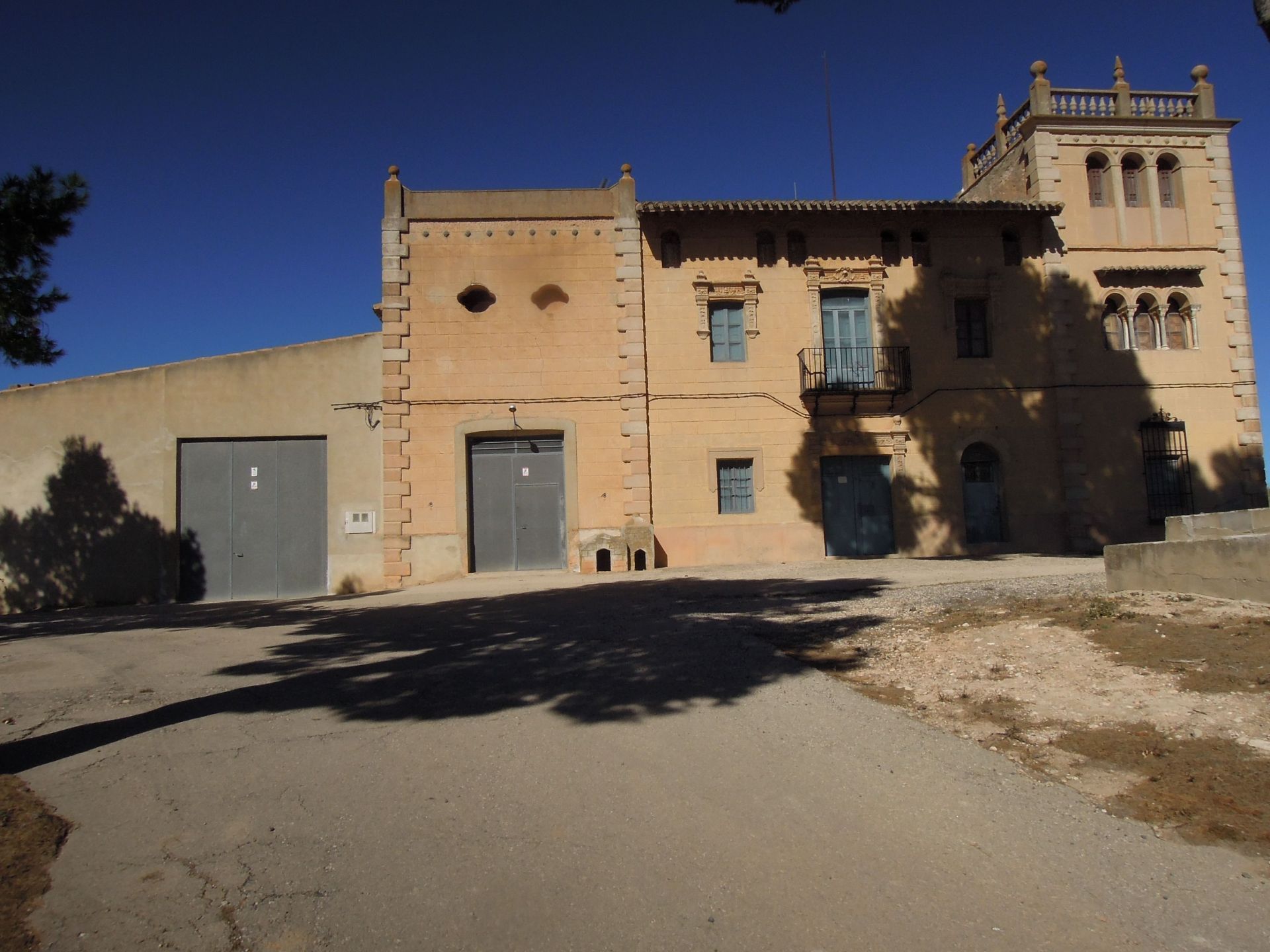 Exterior view of House or chalet for sale in Villena  with Private garden