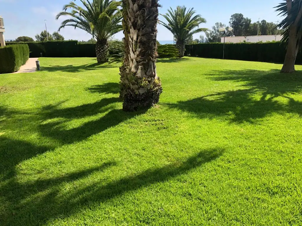 Apartamento de alquiler en Passeig del Mediterrani, 17, Passeig Marítim