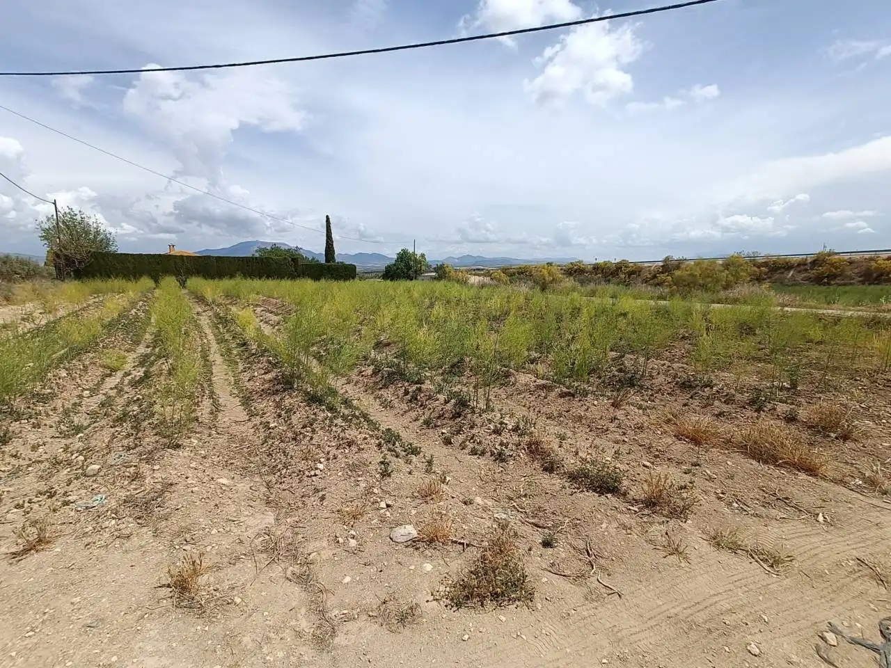 Rural land for sale in Moraleda de Zafayona, imagen 4