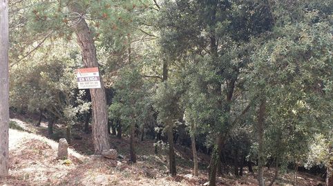 TERRENO CON VISTAS A LA MONTAÑA!, immagine 5