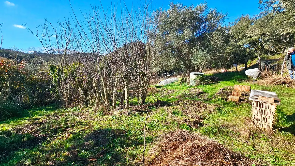 Casa o xalet en venda en Los Marines amb Jardí privat, Terrassa i Traster