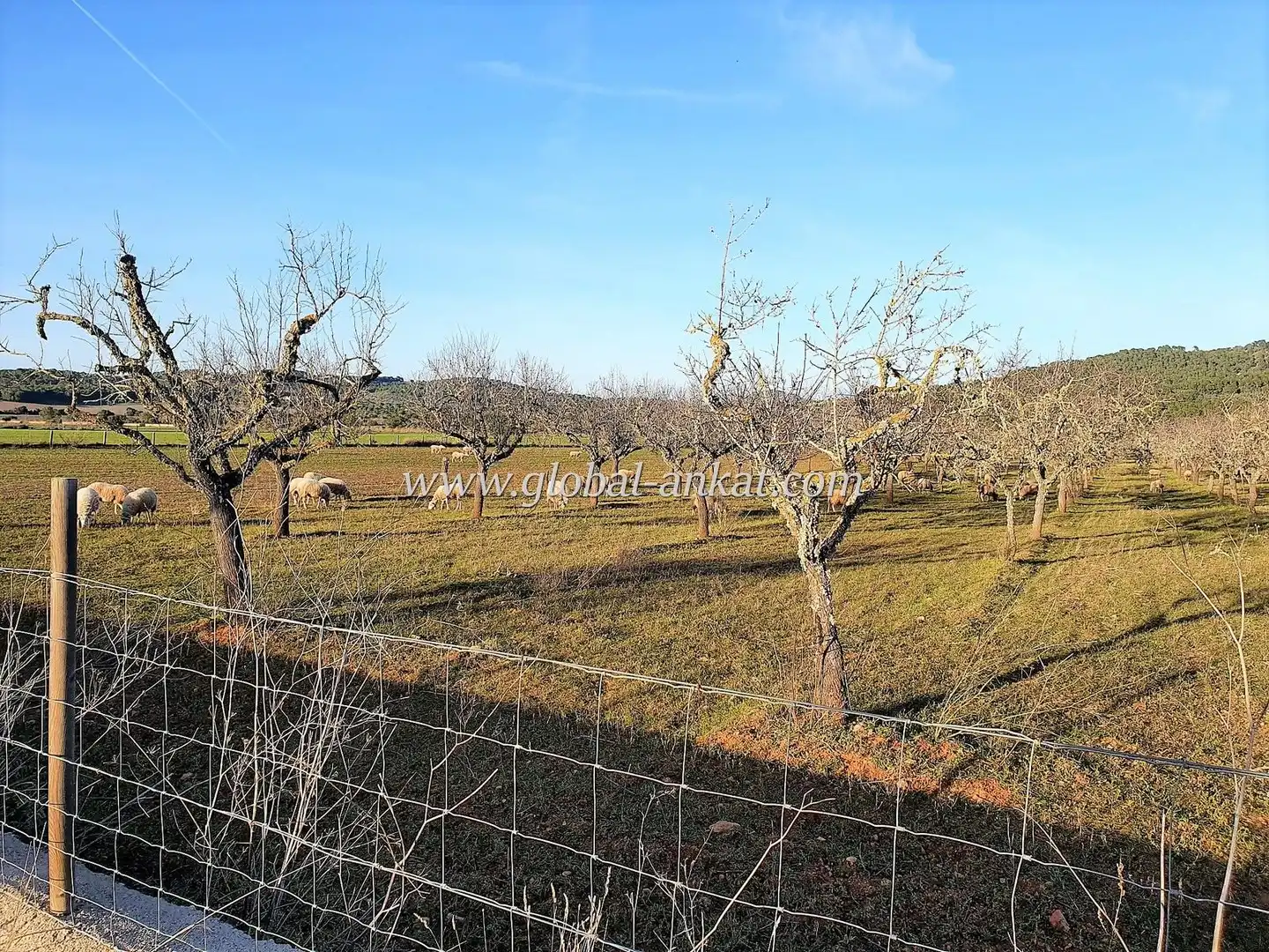 Residential land for sale in S'Horta - Cas Concos des Cavaller - Es Carritxó, imagen 4