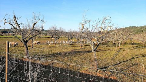 Foto 4 de Residencial en venta en S'Horta - Cas Concos des Cavaller - Es Carritxó, Felanitx