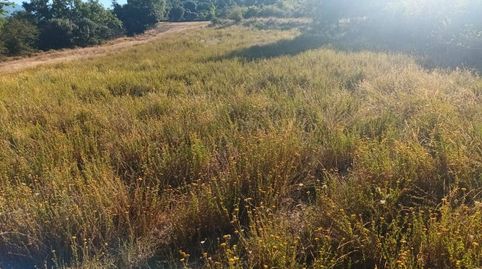 Foto 3 von Grundstücke zum Verkauf in Poligono Mont de Roda, Isábena, Huesca