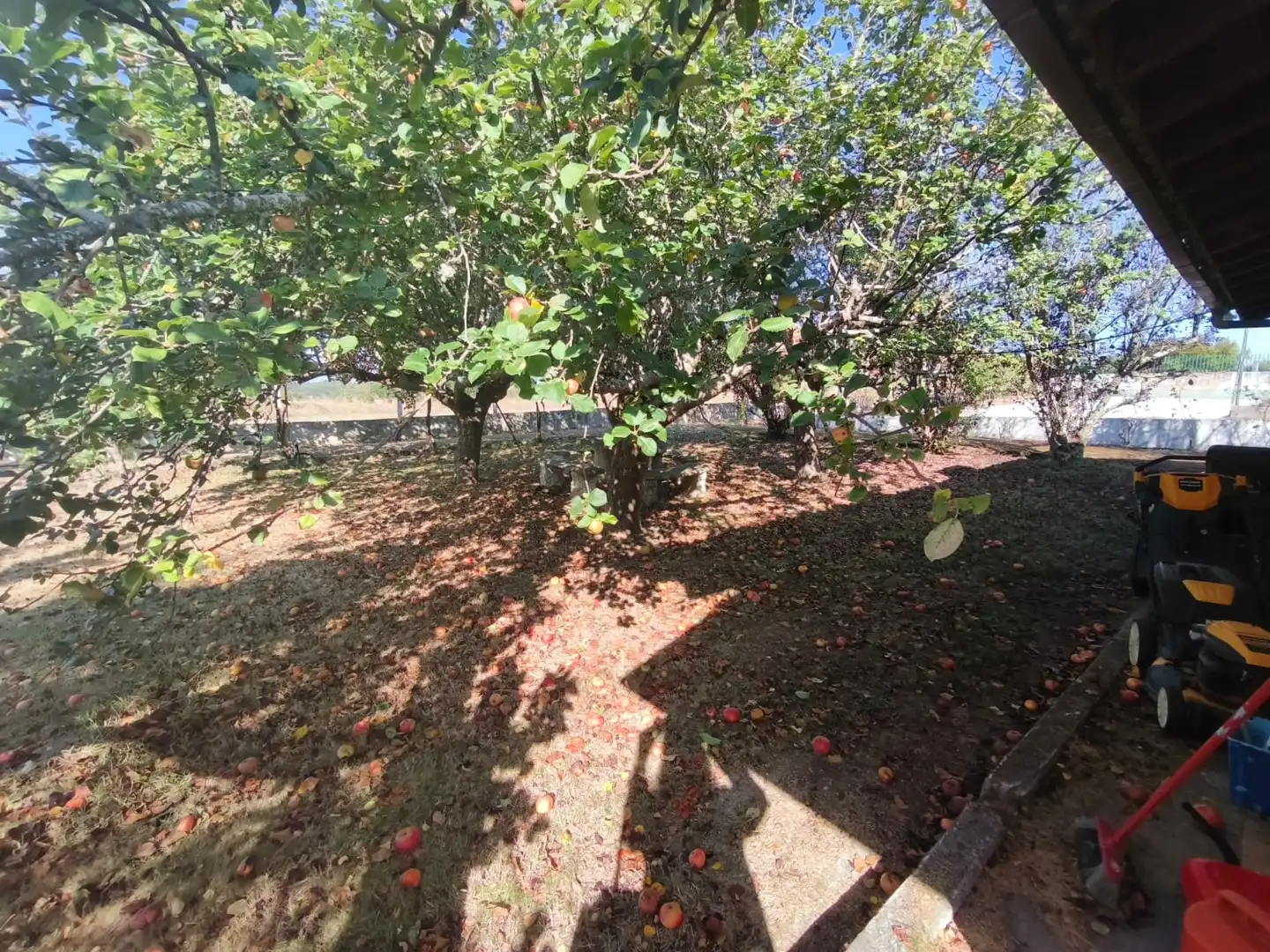Chalet con terraza en venta en Coles, imagen 55