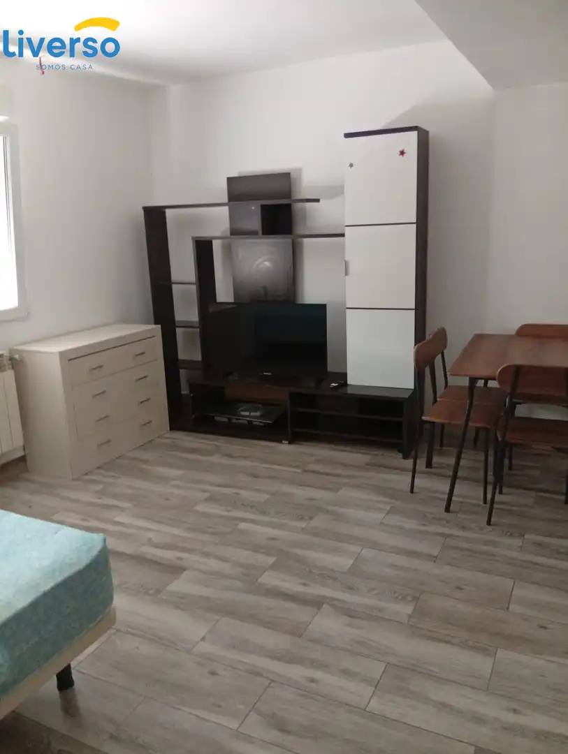 Living room of Flat for rent in Burgos Capital  with Furnished