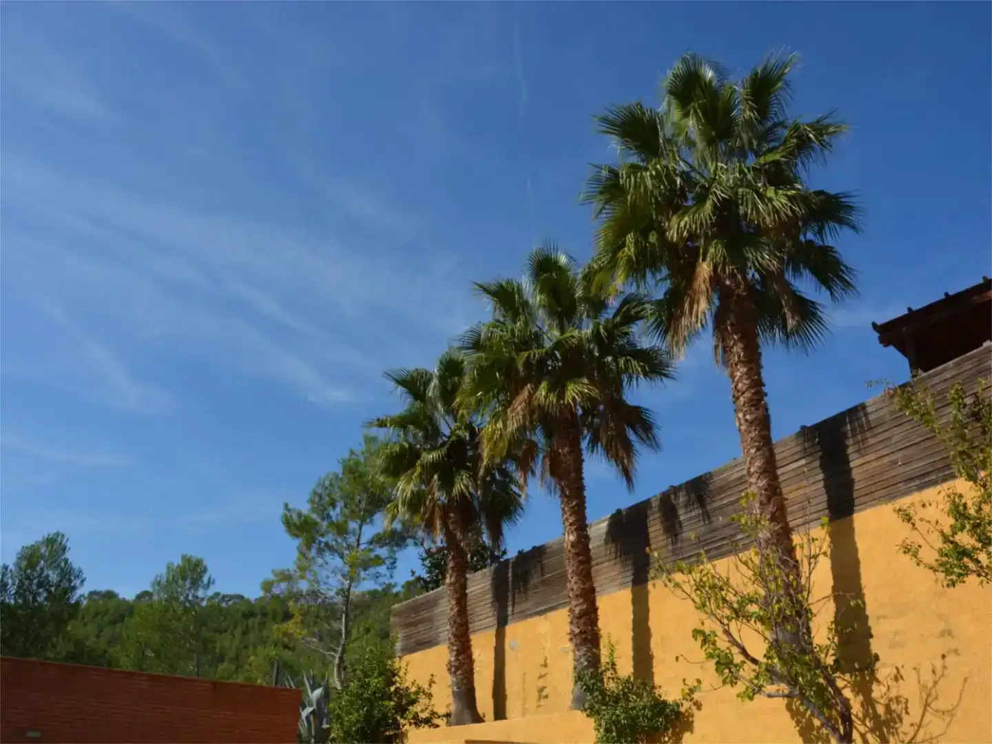 Exterior view of Houses for rent in Olivella  with Air Conditioner, Private garden and Parquet flooring